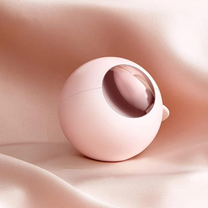 Lint Roller Hair Remover Ball,Professional Portable Diatom Mud Ball ,Potable Travel Dustproof Can... | Amazon (US)