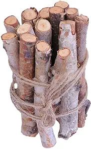 Amosfun 20PCS 10CM Birch Branches Birch Twigs Wood Logs Craft Centerpieces for Arts Craft Christm... | Amazon (US)