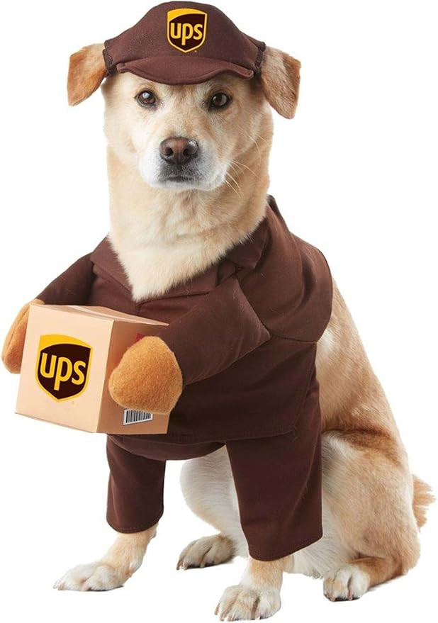 UPS Pal, Dog Costume, Large | Amazon (US)