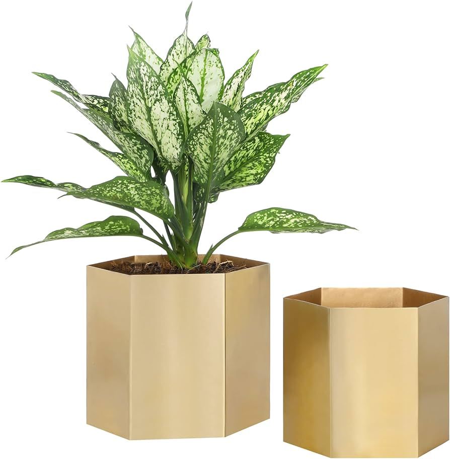 MyGift Handcrafted Metallic Shiny Brass Metal Indoor Plant Vase Pot with Hexagon Shape, Decorativ... | Amazon (US)
