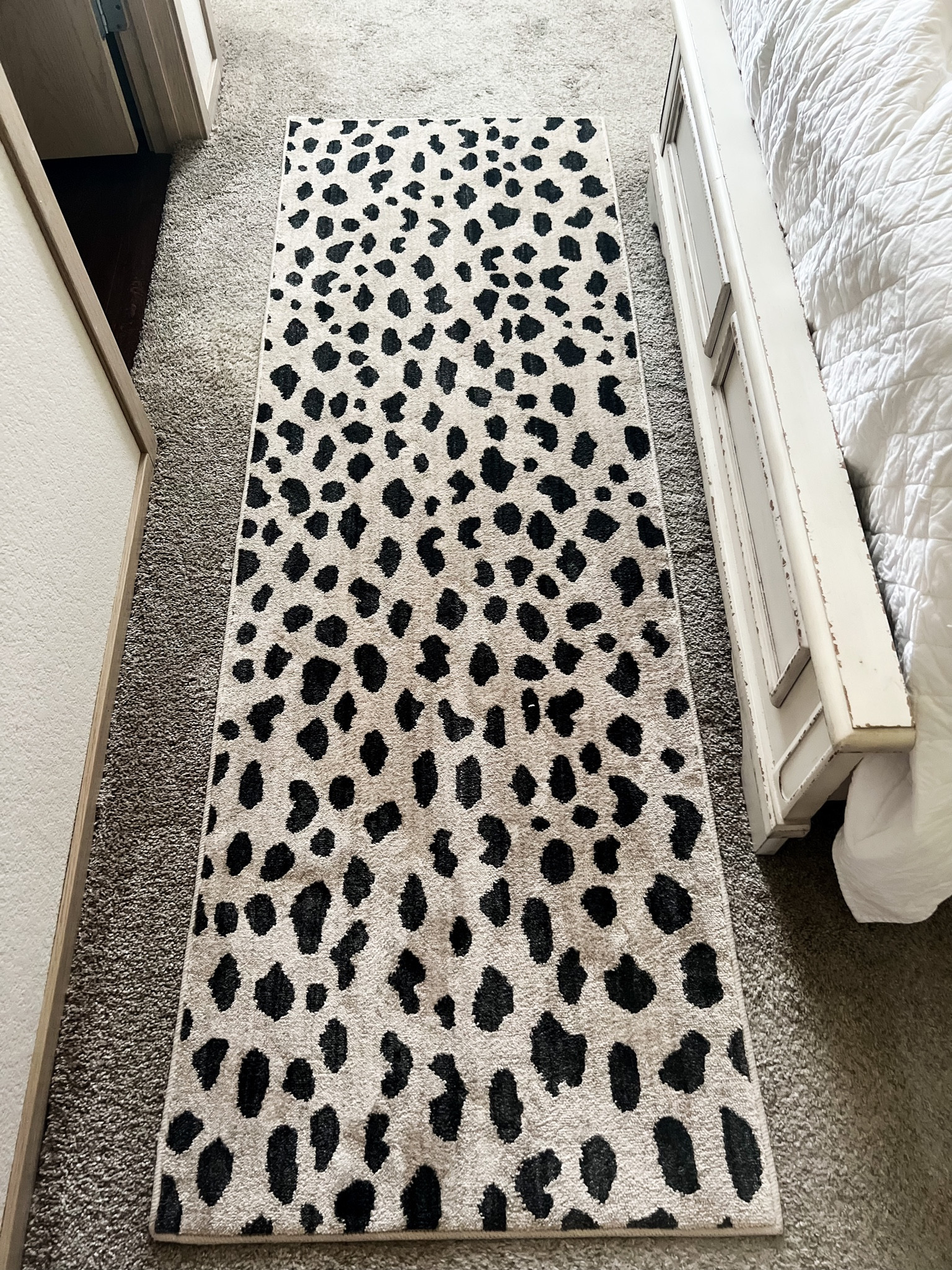 Living room / bedroom / home office / office decor / cheetah / leopard print 

#LTKhome #LTKunder100 #LTKFind