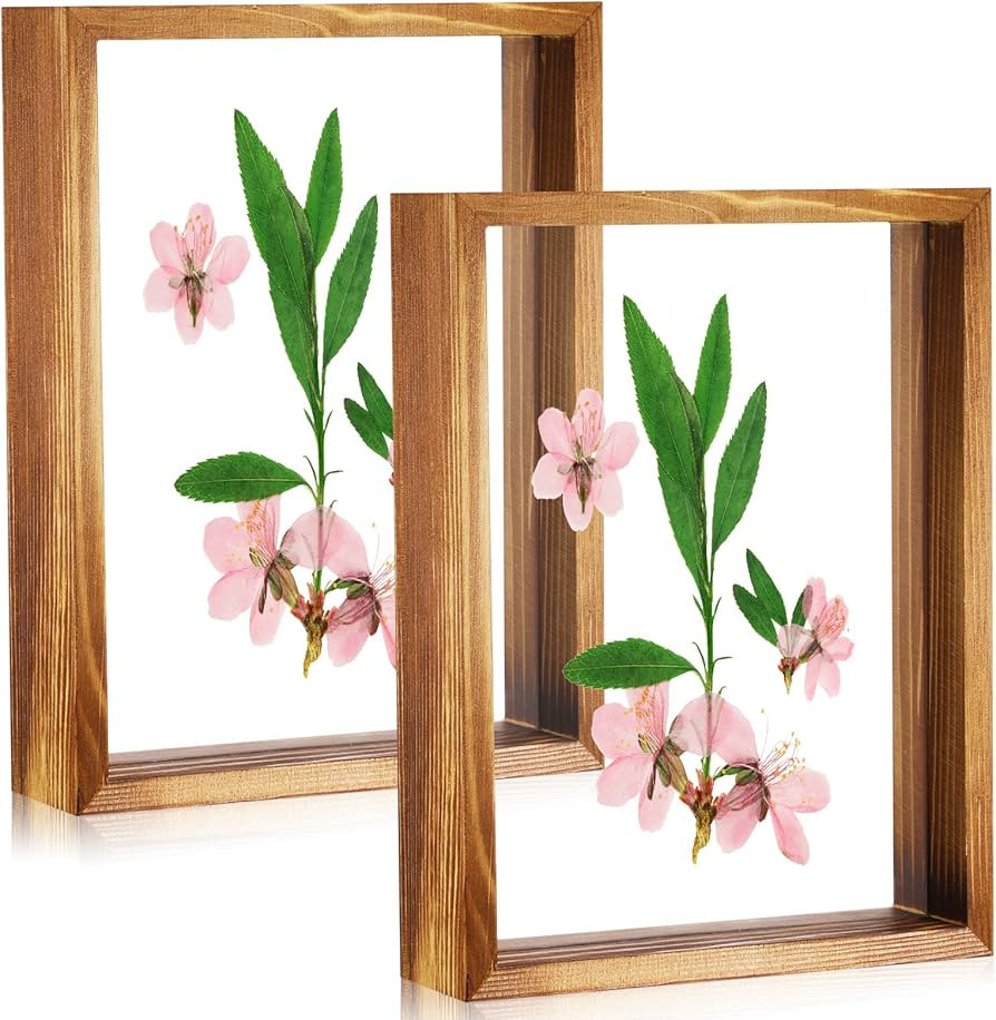 2 Pcs 5 x 7 Picture Frames Pressed Flowers Frames Floating Picture Frames Double Acrylic Rustic P... | Amazon (US)