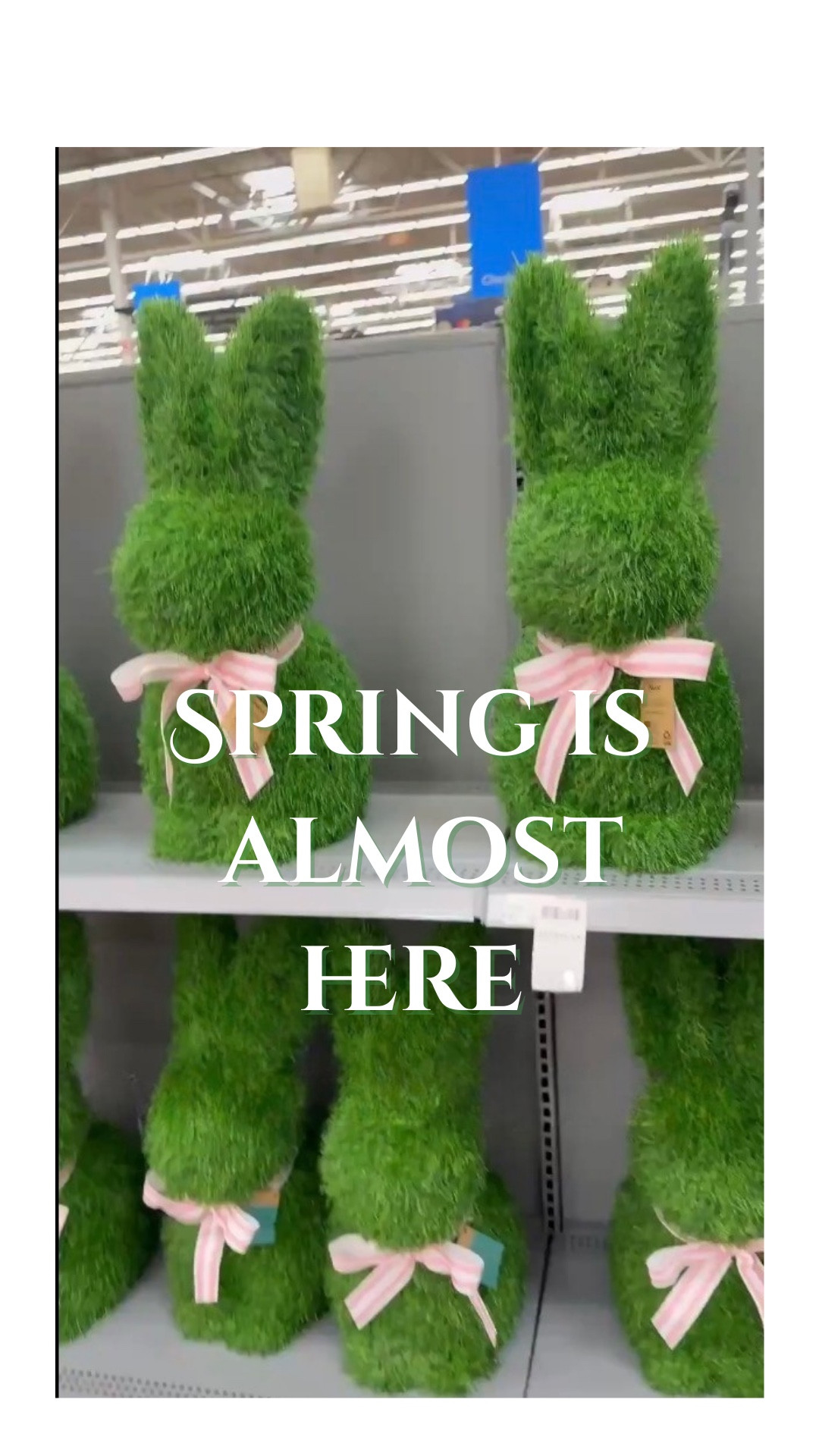 Affordable Spring Decor & Easter Finds at Walmart 🐰🌸
Spring has officially sprung in the aisles of Walmart! I just spotted these adorable moss bunny figurines with cute pink gingham bows, and they are the perfect affordable addition to your seasonal home decor. Whether you’re styling a festive Easter tablescape, refreshing your mantle for spring, or just adding a pop of greenery to your entryway, these bunnies are a must-have.
Walmart is killing it with their budget-friendly home decor this season! These pieces give you that high-end look for less, making it easy to create a welcoming and joyful space without overspending.
As a mom and chronic illness warrior, I love finding simple, low-effort ways to brighten up my home and lift my spirits. A little seasonal refresh goes a long way! 🌿✨
🛍️ SHOP THIS POST:
Click the link in my bio or follow GlamorousMoni in the free LTK App to shop these Walmart finds and more spring home inspiration!

#LTKHome #LTKvlog

#LTKHome #LTKSeasonal #LTKSpringSale