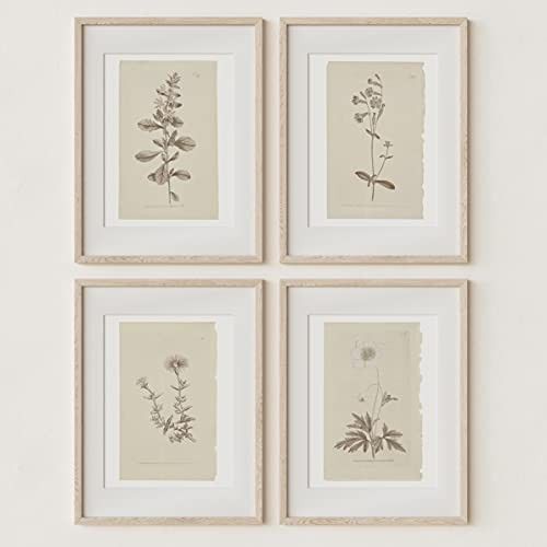 Amazon.com: Wall Art Botanical Plant Prints | Vintage Flower Boho Minimalist Floral Artwork Decor... | Amazon (US)