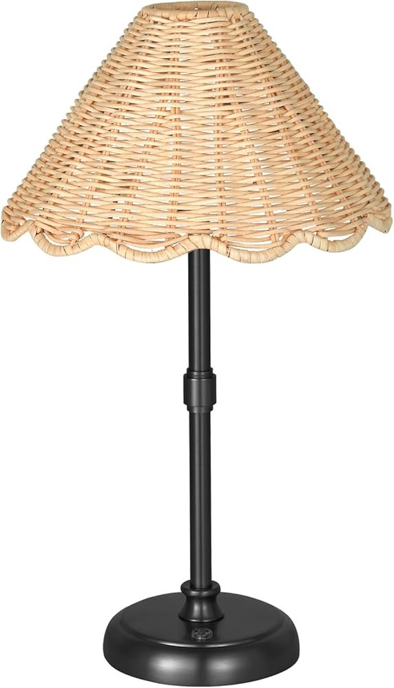 Cordless Boho Rattan Table Lamp Black, 5200-mAh Rechargeable Battery, 3-Level Brightness Dimmable... | Amazon (US)