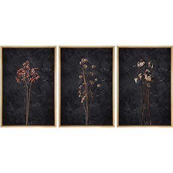 Ashbrook Framed Canvas Print Wall Art Set Dark Moody Wildflowers Nature Wilderness Illustrations ... | Amazon (US)