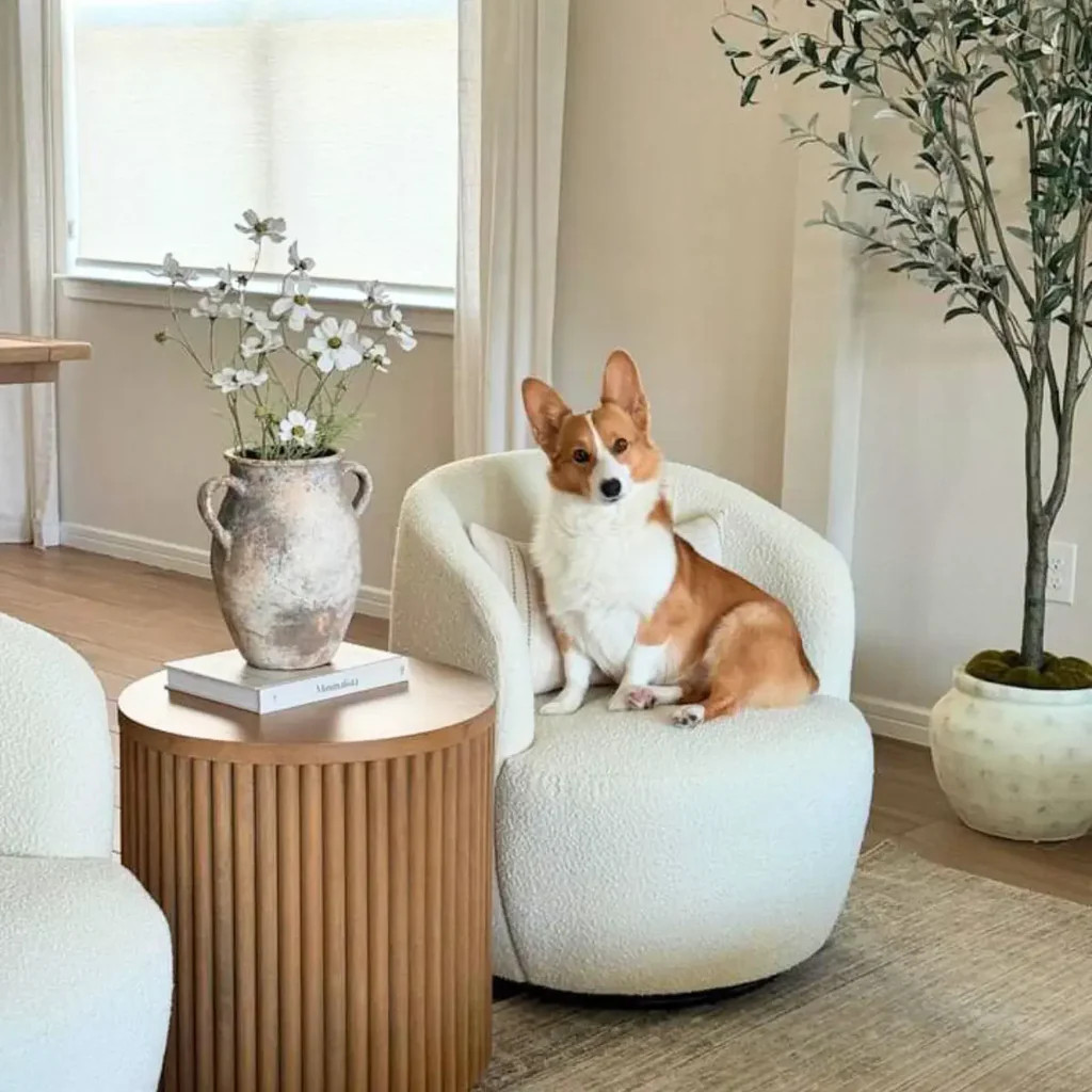 Bella Modern White Boucle Swivel Barrel Chair (1-Piece) | Pop Maison