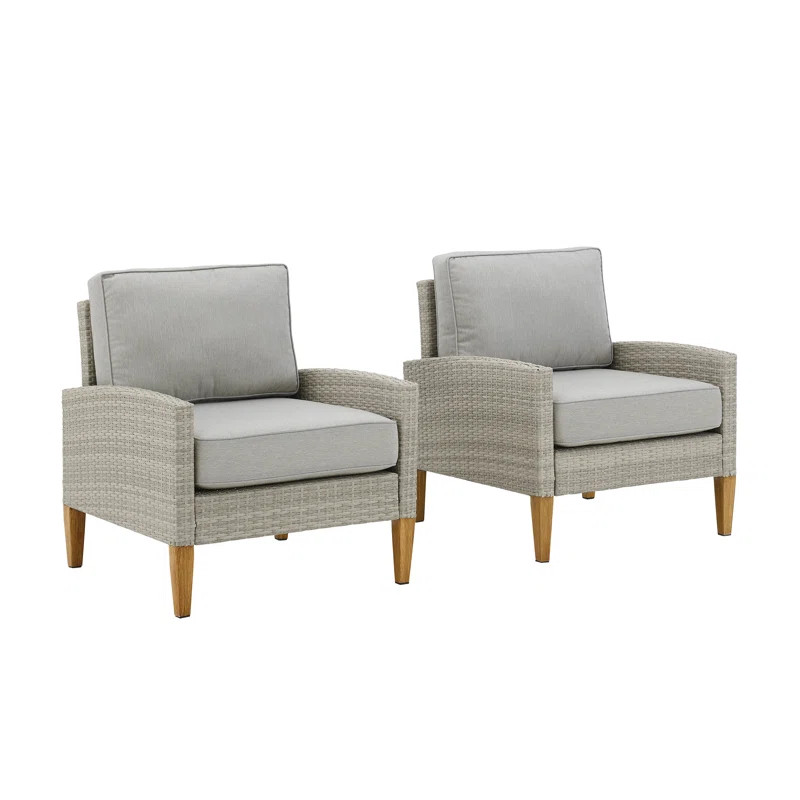 Behn Outdoor Patio Chair with Cushions (Set of 2) | Wayfair North America