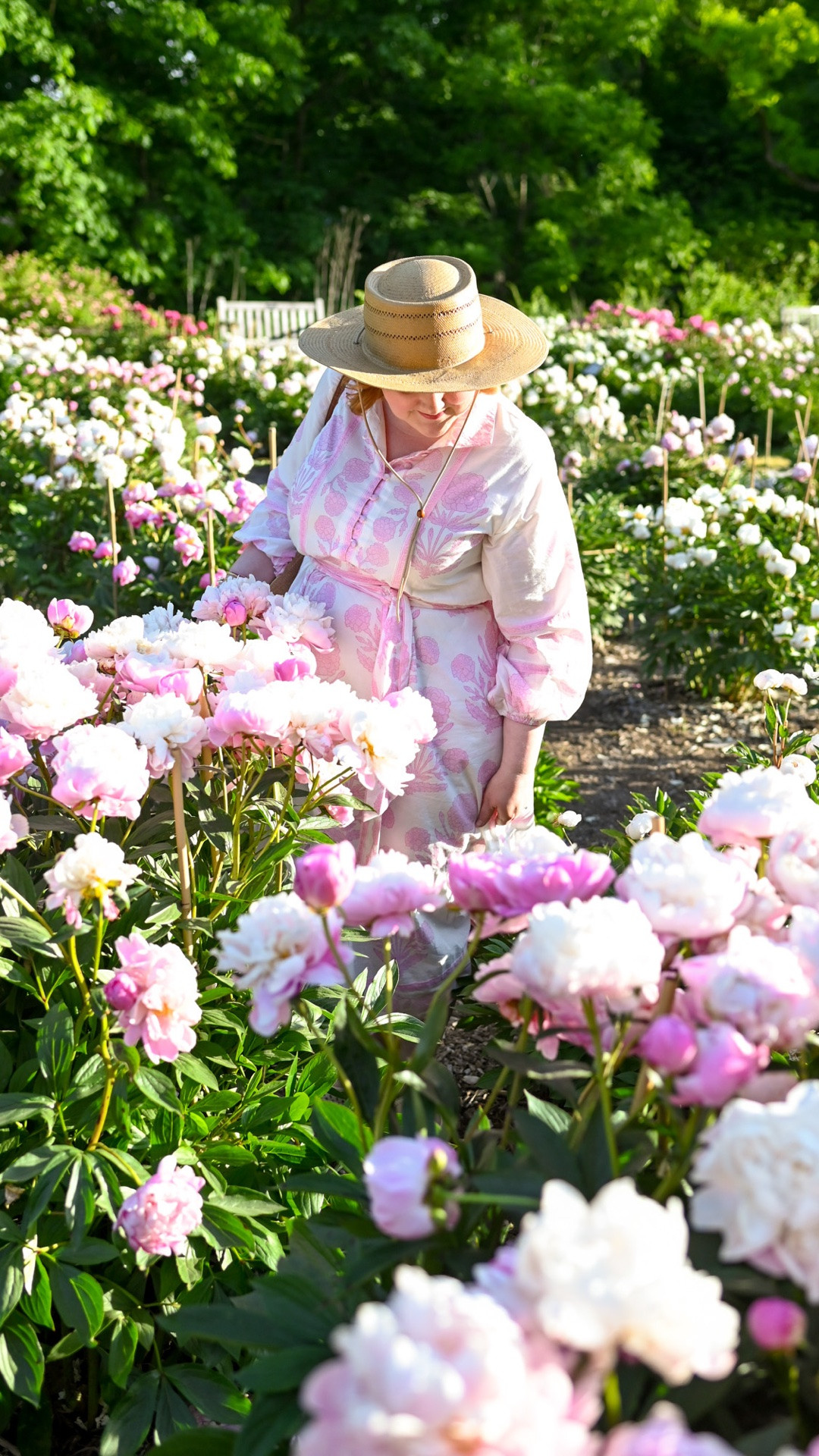 If you haven’t been to @matthaeinichols yet to see the peonies in bloom, this weekend is likely your last chance. This video is from yesterday 6/4, and the blooms were past peak but still lush and lovely. Visiting the garden is one of my favorite annual traditions. It’s such a beautiful and special way to celebrate the coming of summer.🩷🌸

OUTFIT DETAILS:
Dress size XL @suesartor 
Hat @lackofcoloraus 
Justine Basket Bag @sezane 
Alameda Flats @vionicshoes 
Jewelry @kendrascott

#LTKootd #LTKMidsize #LTKPlusSize