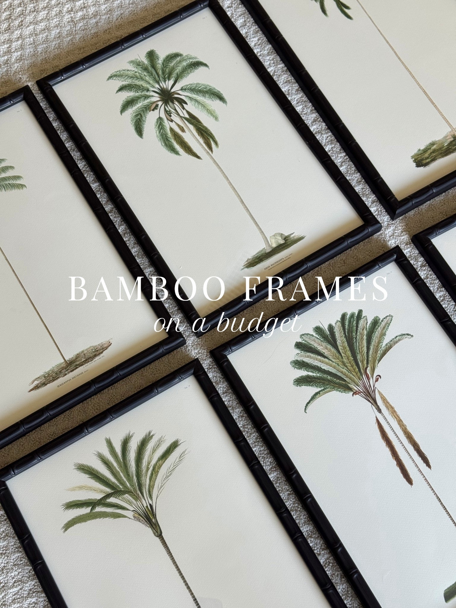 the best bamboo frames that’s i got off amazon!! 


#LTKStyleTip #LTKHome #LTKFindsUnder100