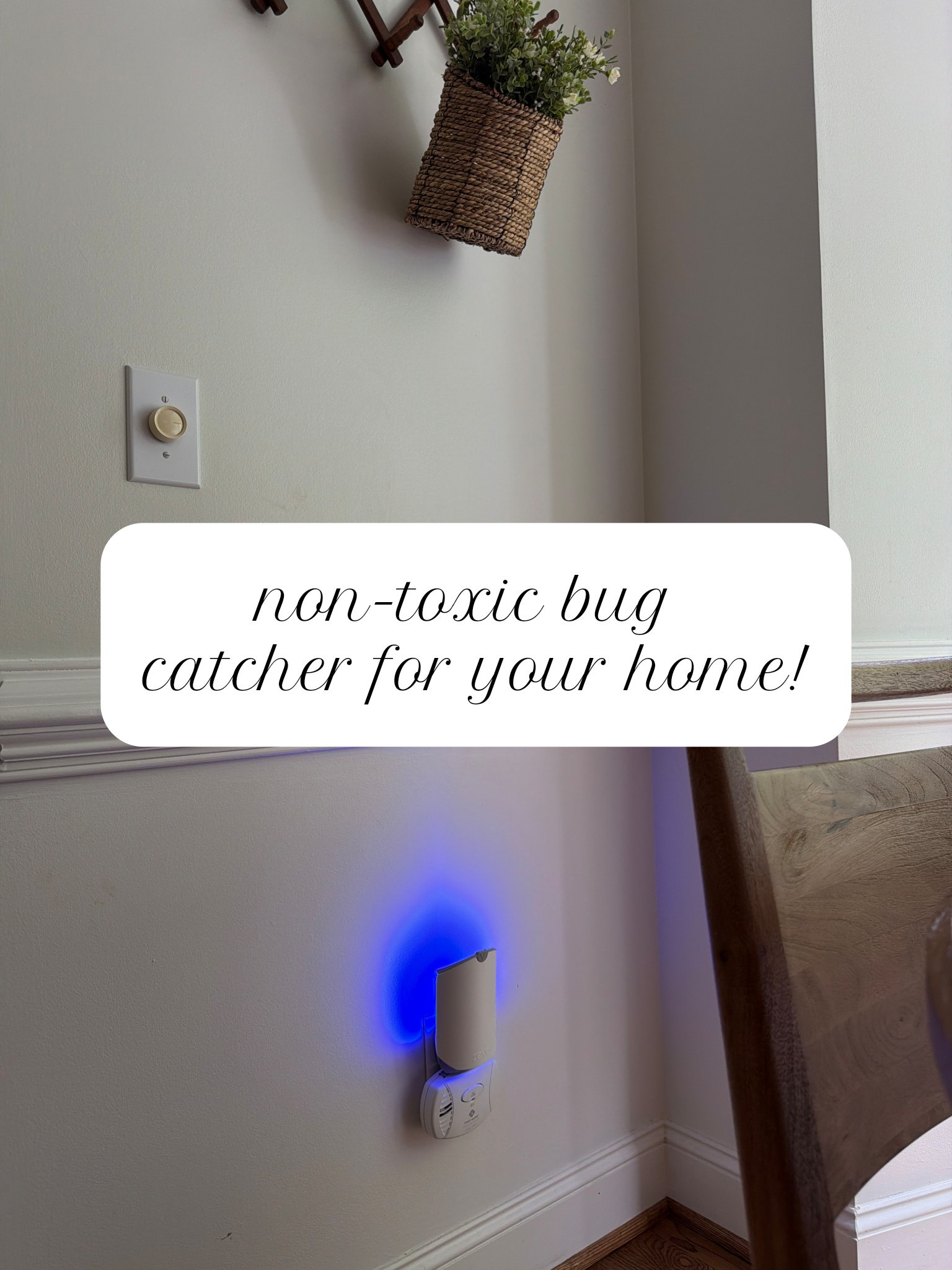 With summer coming up and the bugs coming out, you’re going to want to have a solid bug catcher that isn’t toxic in your home. This one is the BEST!

#LTKHome #LTKSeasonal