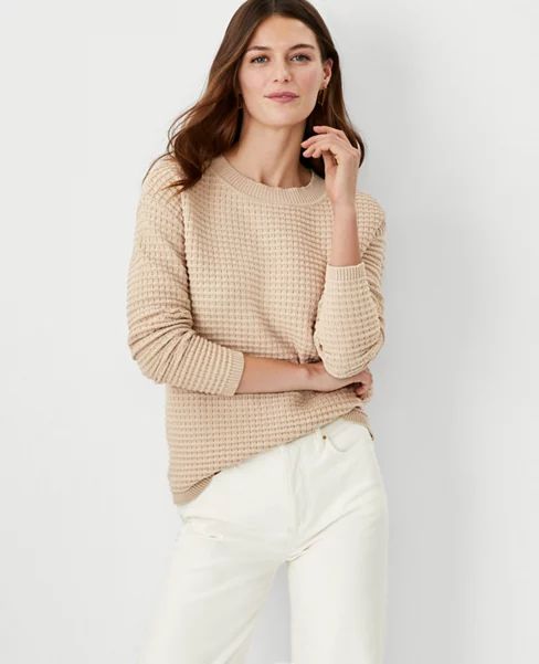 color: Toasted Oat


















selected | Ann Taylor (US)