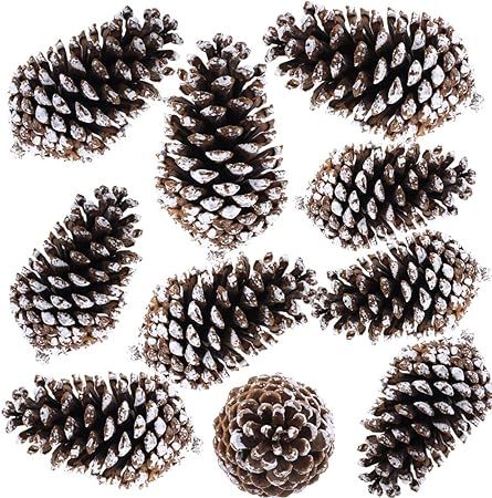 Supla 10 PCS Natural Pinecones Medium Frosted Pine Cones Ornaments Real Preserved Pine Cones - Dr... | Amazon (US)