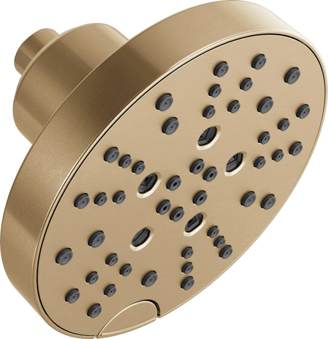Multi-Function Adjustable Shower Head 52668-CZ-PR | Wayfair North America