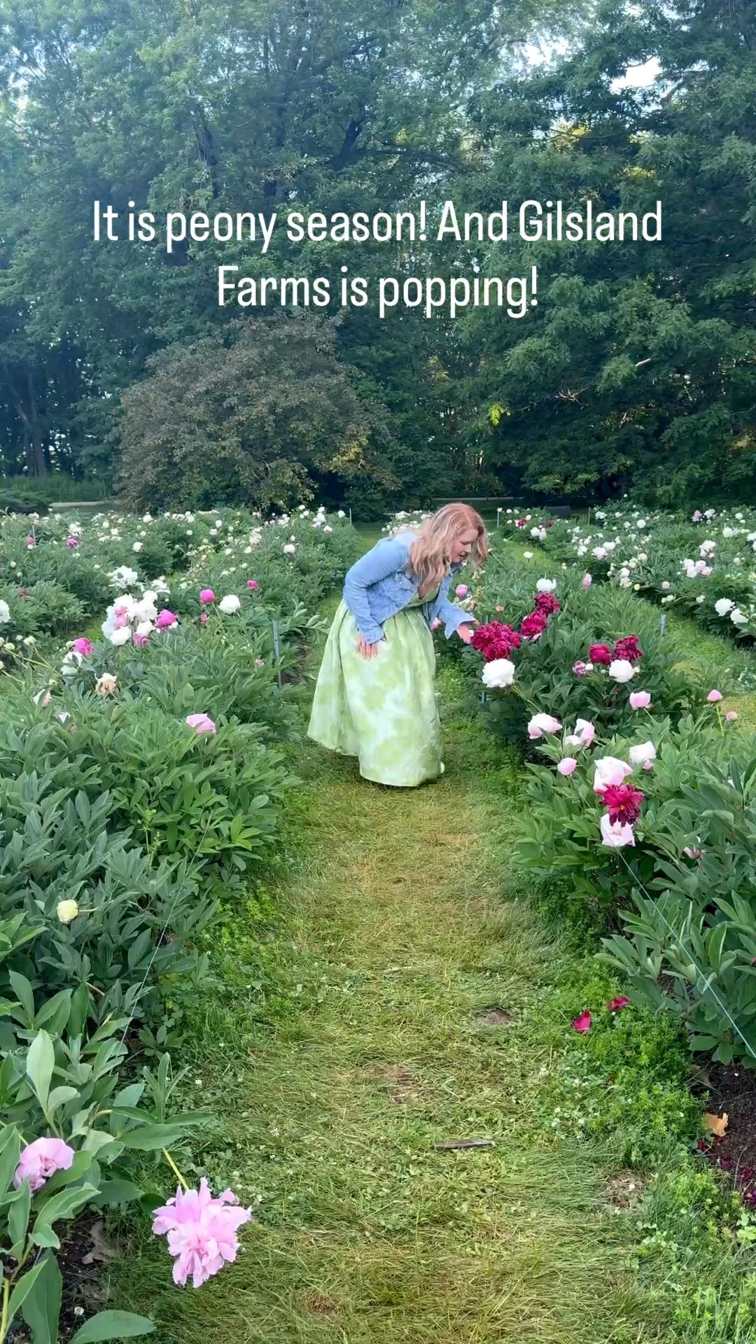 It always feels serendipitous that Gilsland Farms, which is part of the Maine Audubon always has their peonies in bloom around my birthday. Nothing is better then throwing on a pretty dress (preferably with pockets) sipping some coffee and frolicking amongst the blooms.

#peonies #gilslandfarms #maineaudubon #happyplace

#LTKPetite #LTKTravel #LTKootd