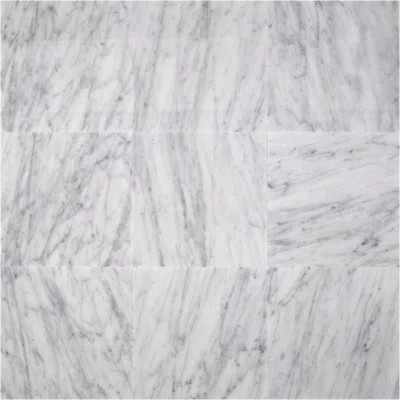 Carrara White 12 in. x 12 in. Honed Marble Floor and Wall Tile | Wayfair North America