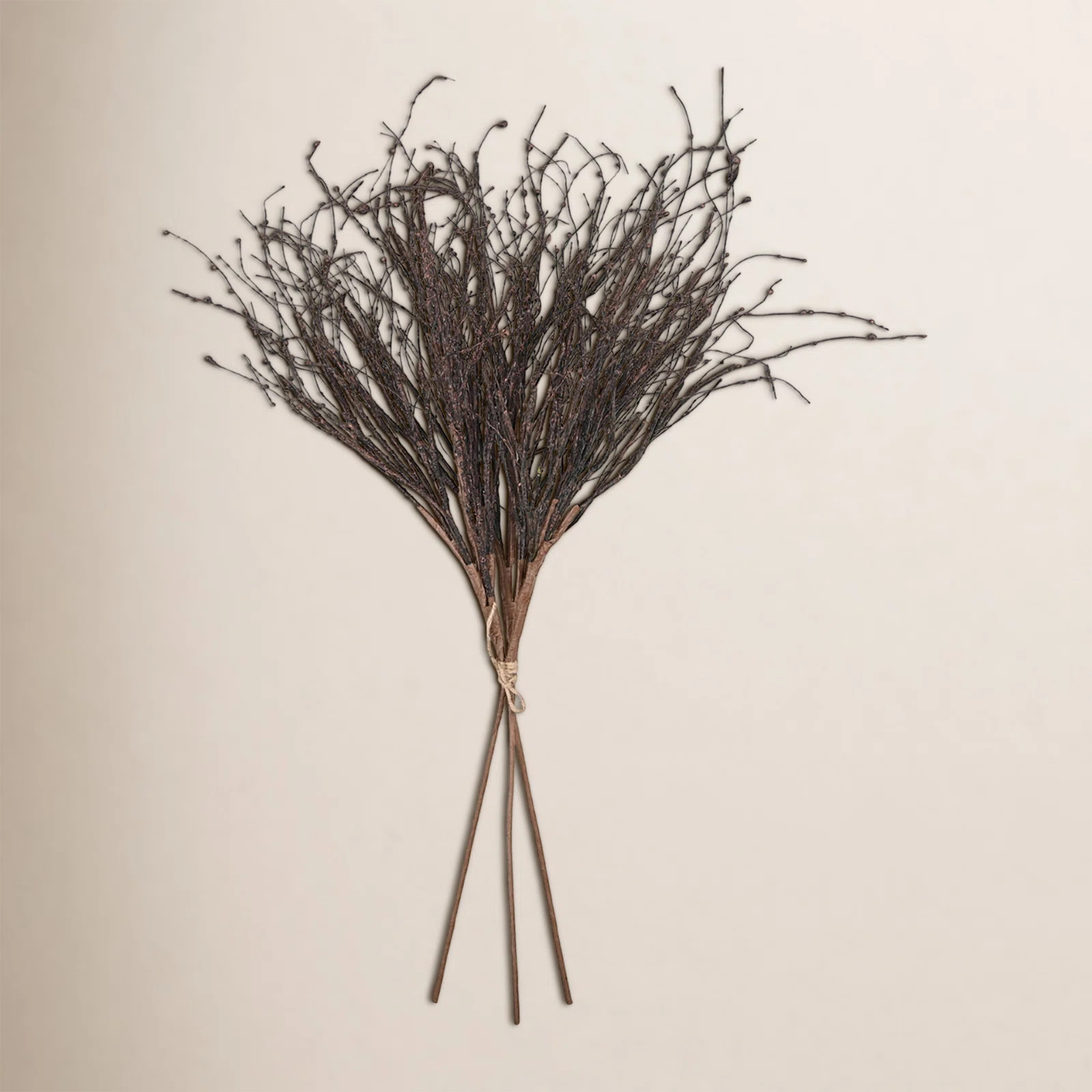 36" Birch Twigs Decorative Branches | Joss & Main