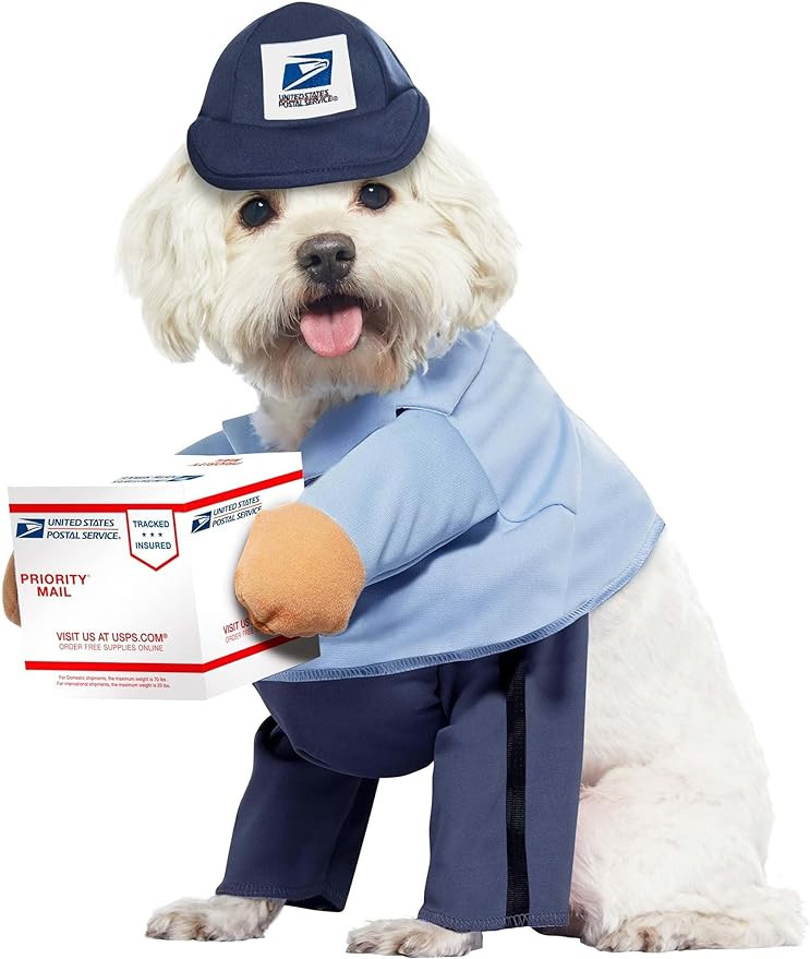 California Costumes Dog Mail Carrier Costume USPS Medium | Amazon (US)