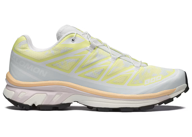 Men's Salomon XT6 Alpen Blossom Sneakers in Ice Flow/Sunny Lime | StockX