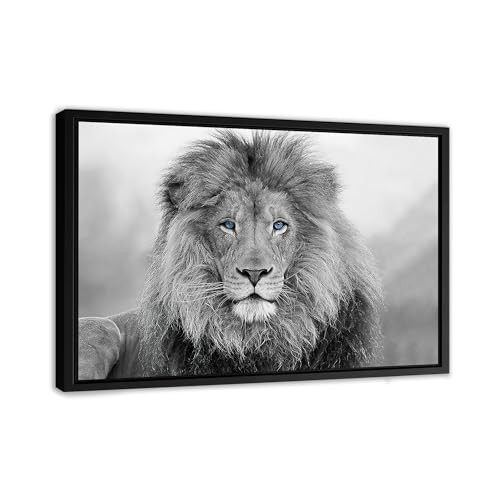 Black and White Blue Eyed Lion Print Wall Art Canvas. Printed Smooth Surface Home Decor - Various Sizes (45in x 30in Modern Black Framed) | Amazon (US)