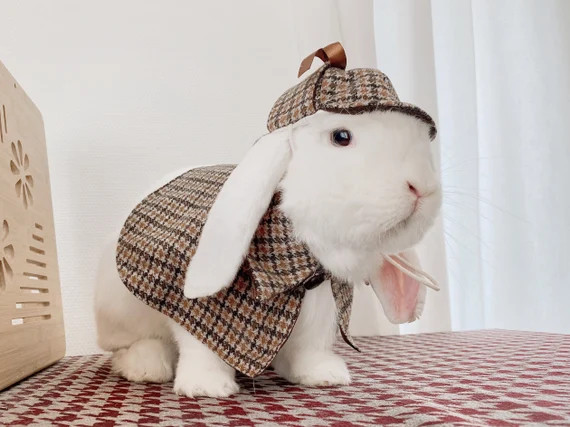 Sherlock Holmes Deerstalker&Cape, Pet Rabbit Detective Outfit, Dog Halloween Costume, Rabbit Hall... | Etsy (US)