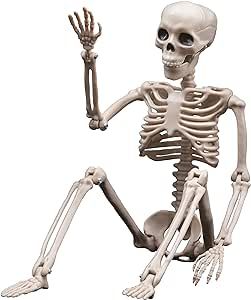 Halloween Skeletons Decorations, 16" Posable Plastic Skeleton, Full Body Skeleton with Movable Jo... | Amazon (US)