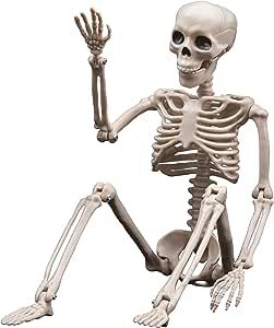 Halloween Skeletons Decorations Outdoor Indoor, 16" Posable Plastic Skeleton, Full Body Skeleton ... | Amazon (US)