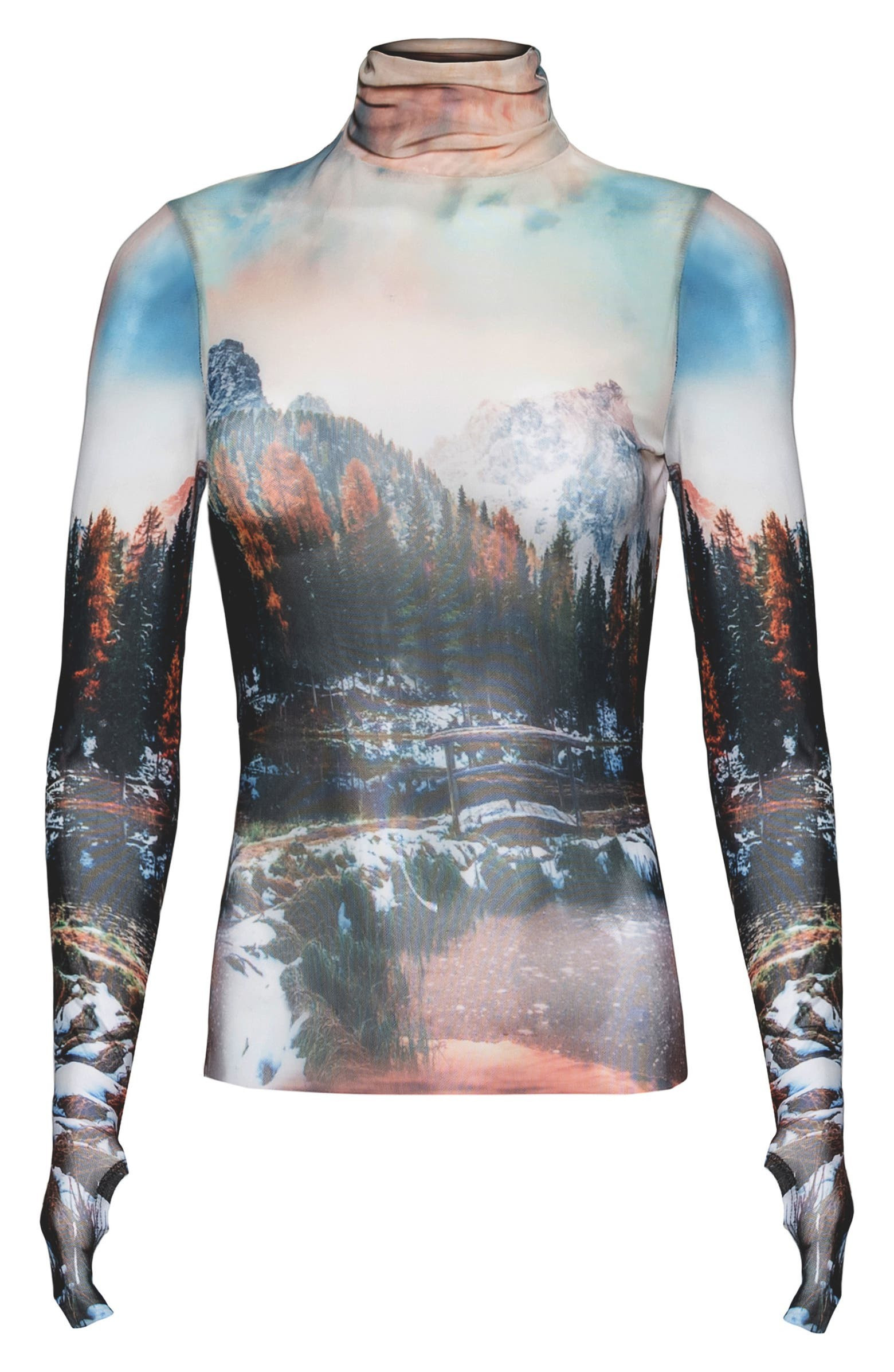 Zadie Semi Sheer Turtleneck | Nordstrom