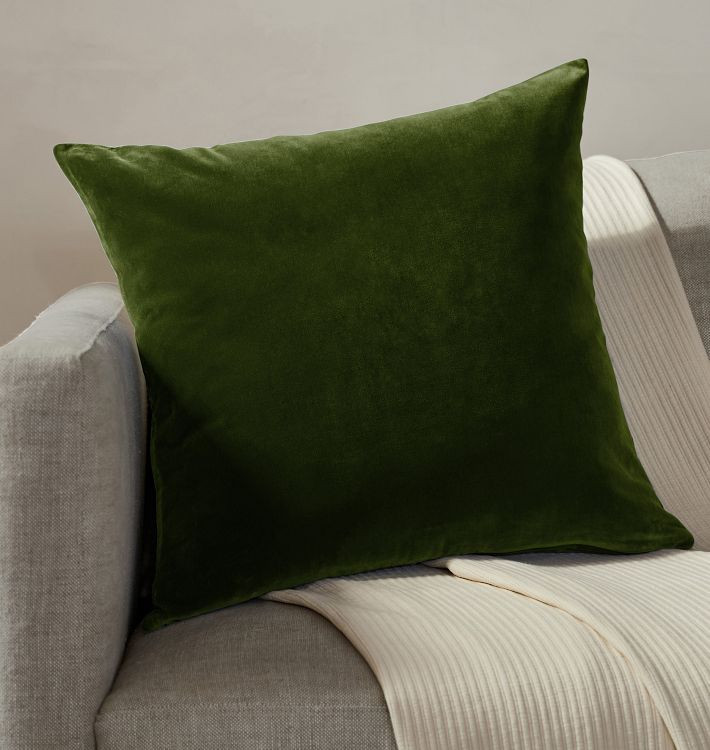 Italian Velvet Pillow Cover | Rejuvenation