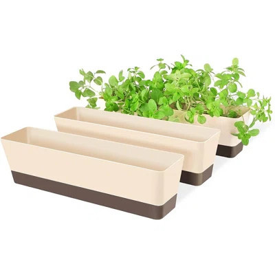 Window Box Herb Planters, 3 Pack 16 X3.8 Inch Indoor Rect... | Wayfair North America