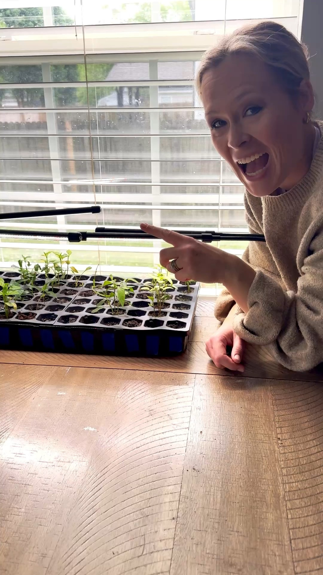 I bought two of these grow lights for my seedling trays and so glad I did! Here’s a quick video of what I like about them!

#LTKSeasonal #LTKHome #LTKmomlife
