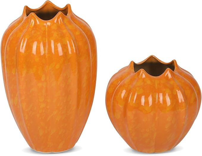 Cute Pumpkin Shaped Ceramic Vases for Home Decor,Set of 2,Big Vase,Floor vase,Farmhouse Vases,Vas... | Amazon (US)