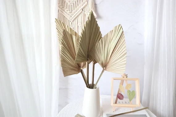 Palm Leaves Large Dried Palms Dried Palm Leaves Bleached | Etsy | Etsy (US)