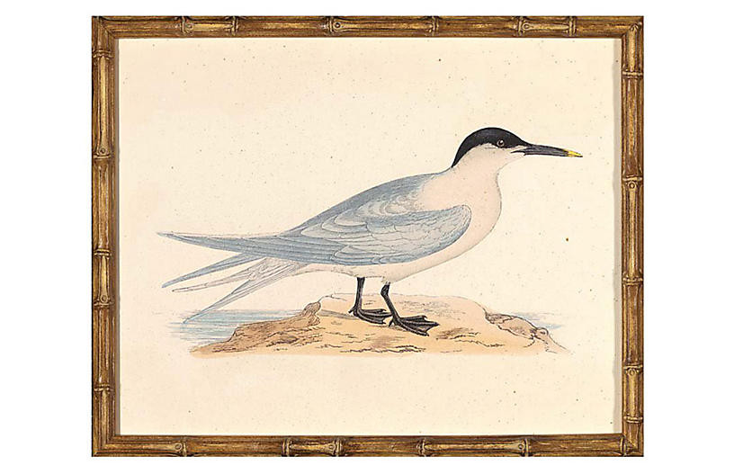 Sea Bird II | One Kings Lane