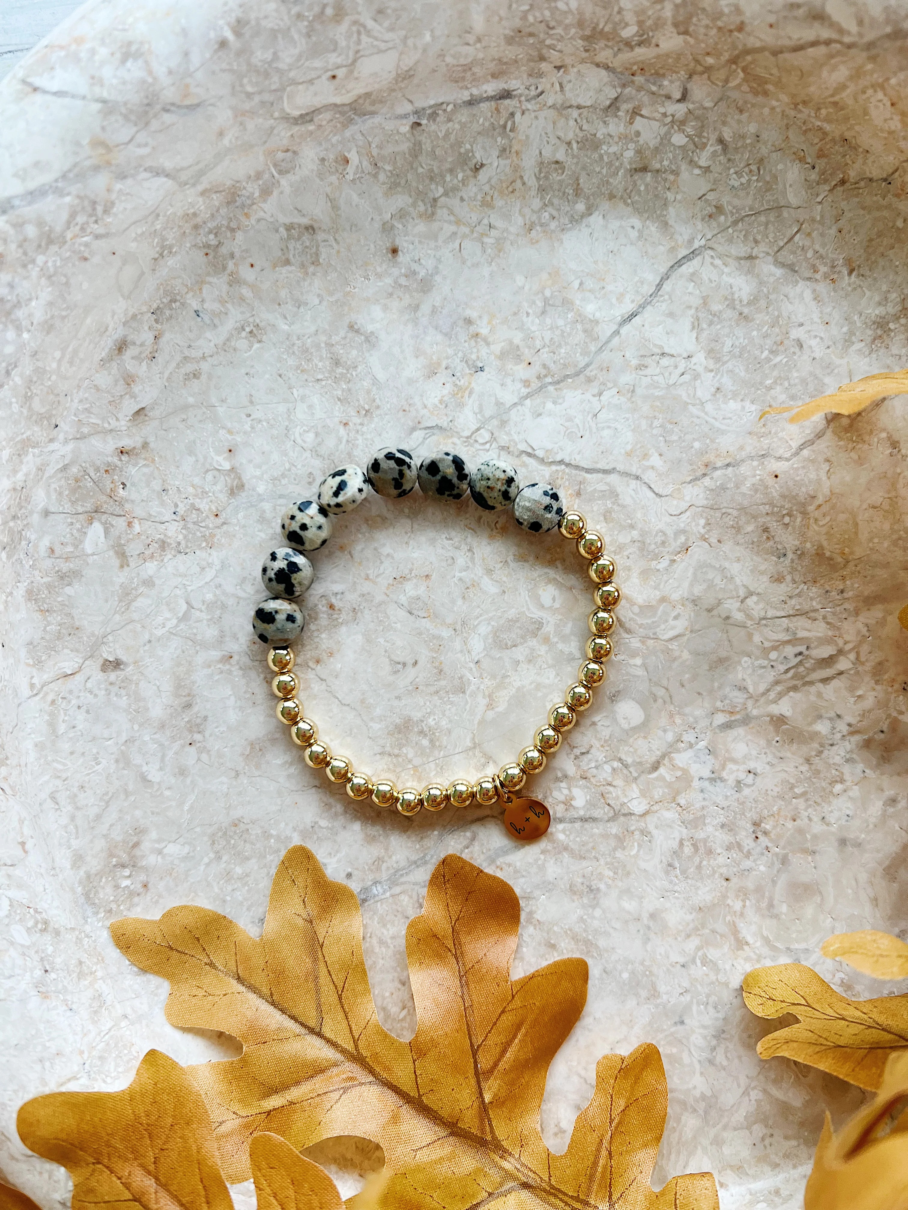 The Leopard | Hayes + Hudson