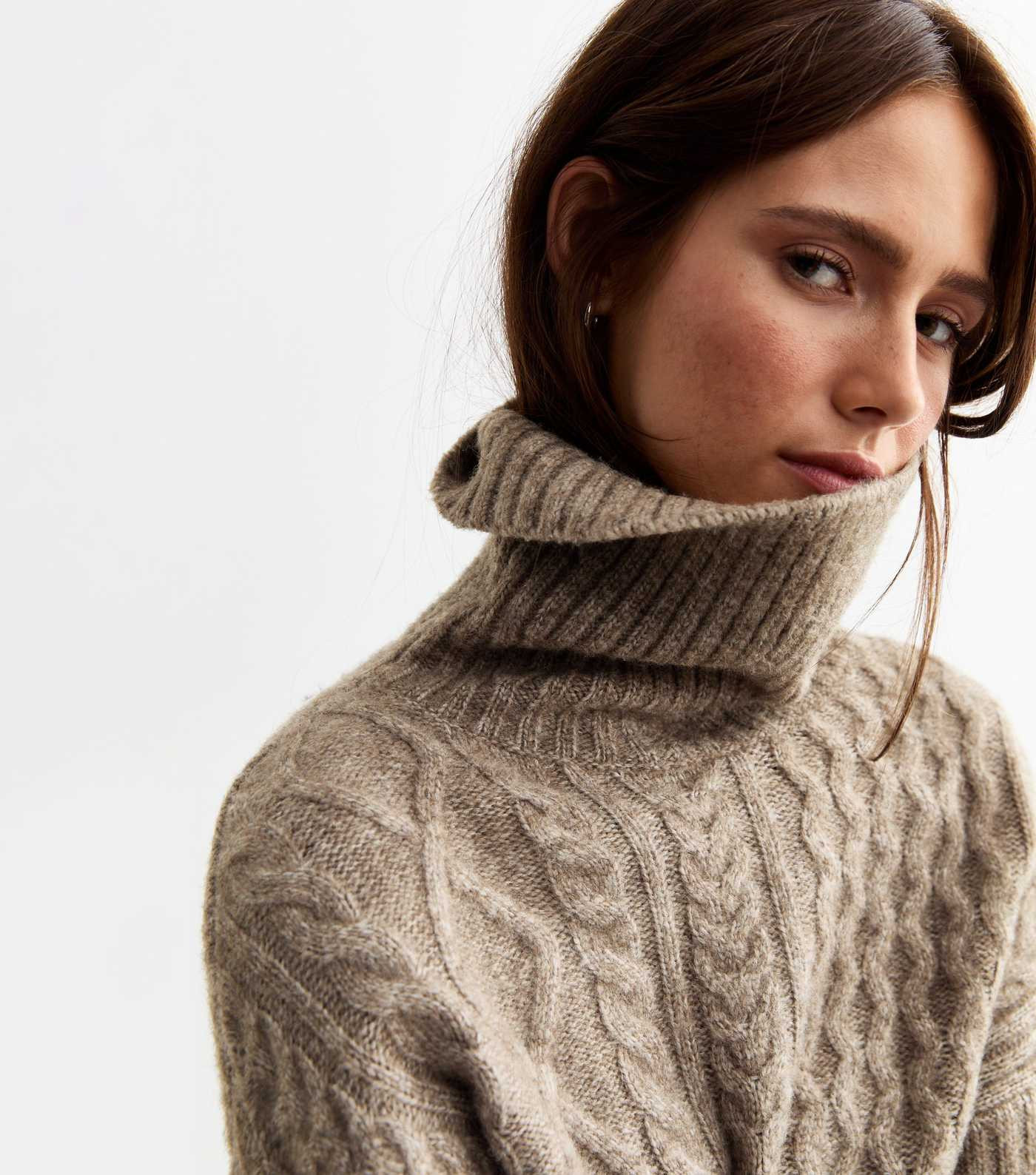 Mink Cable Knit Roll Neck Jumper | New Look | New Look (UK)