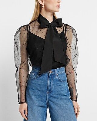 Mesh Polka Dot Tie Mock Neck Puff Sleeve Top | Express