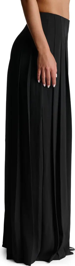 Pleated Wide Leg Pants | Nordstrom