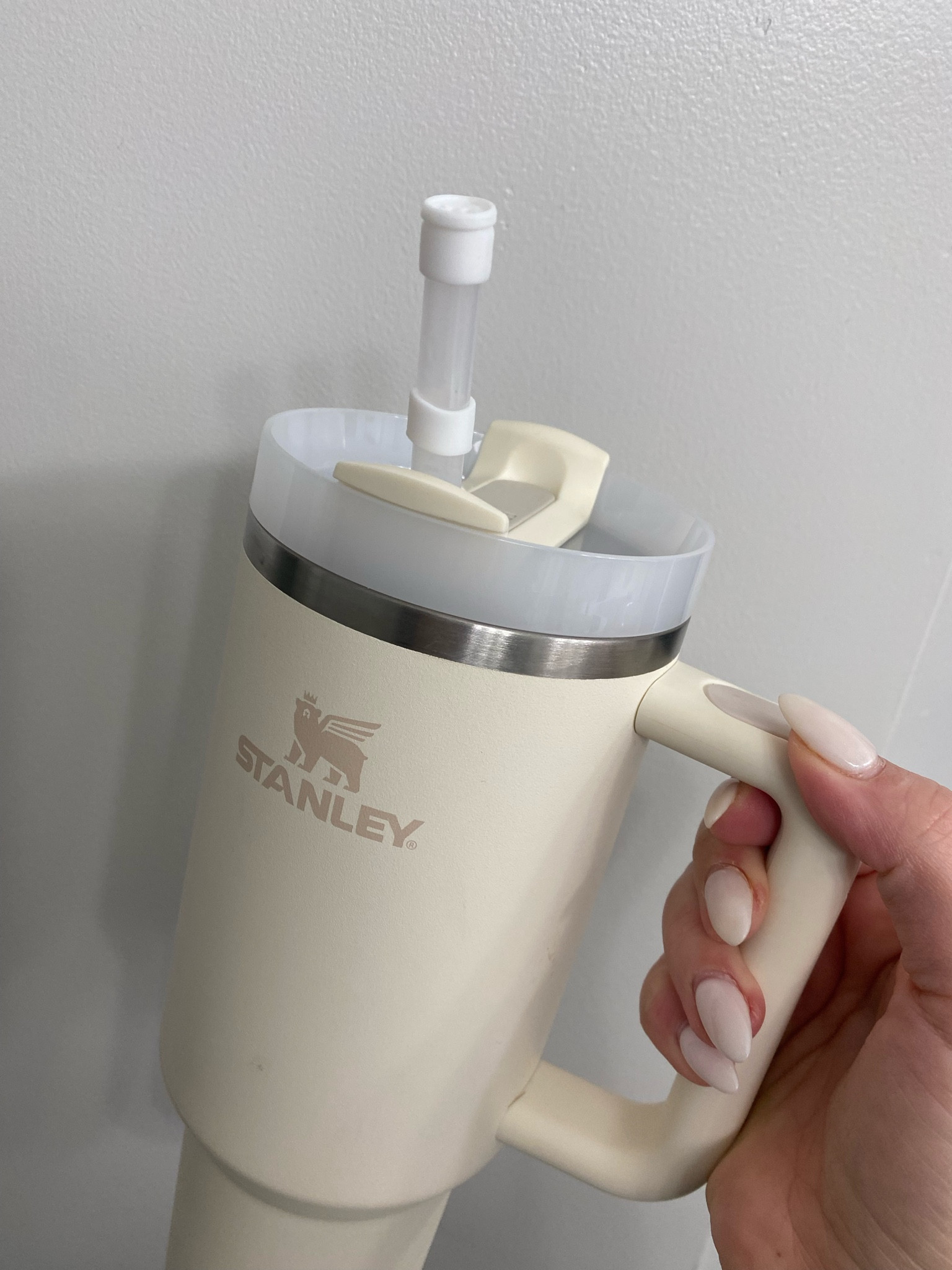 Stanley cup and straw stopper 