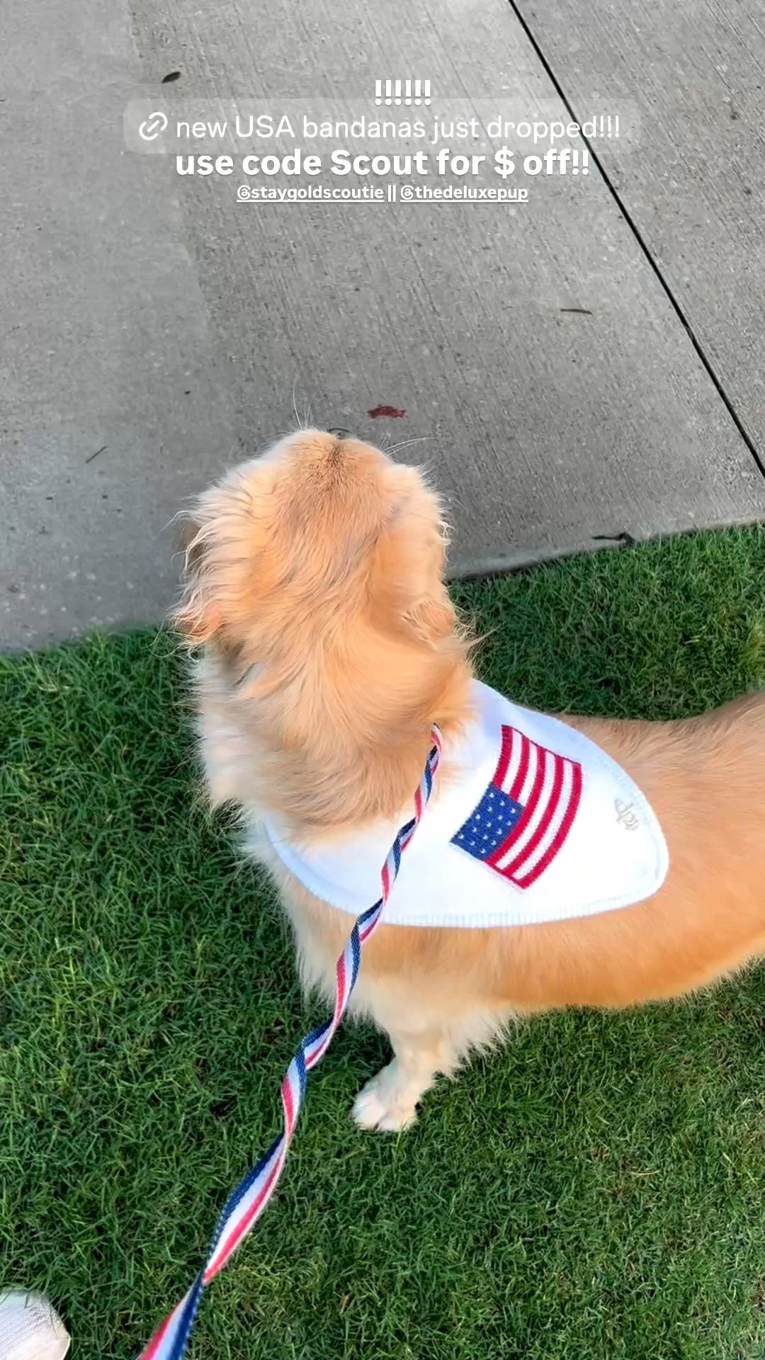 // sadly can’t link them all here but new bandanas dropped on The Deluxe Pup just in time for July 4th - use code Scout for $ off your order 🇺🇸 //