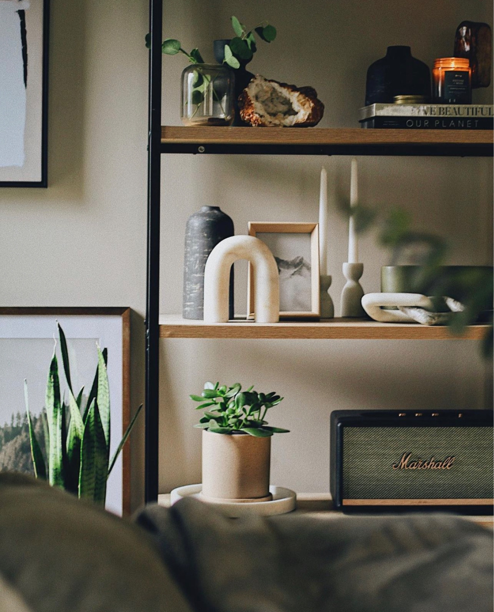 #LTKmens #LTKhome #LTKFind