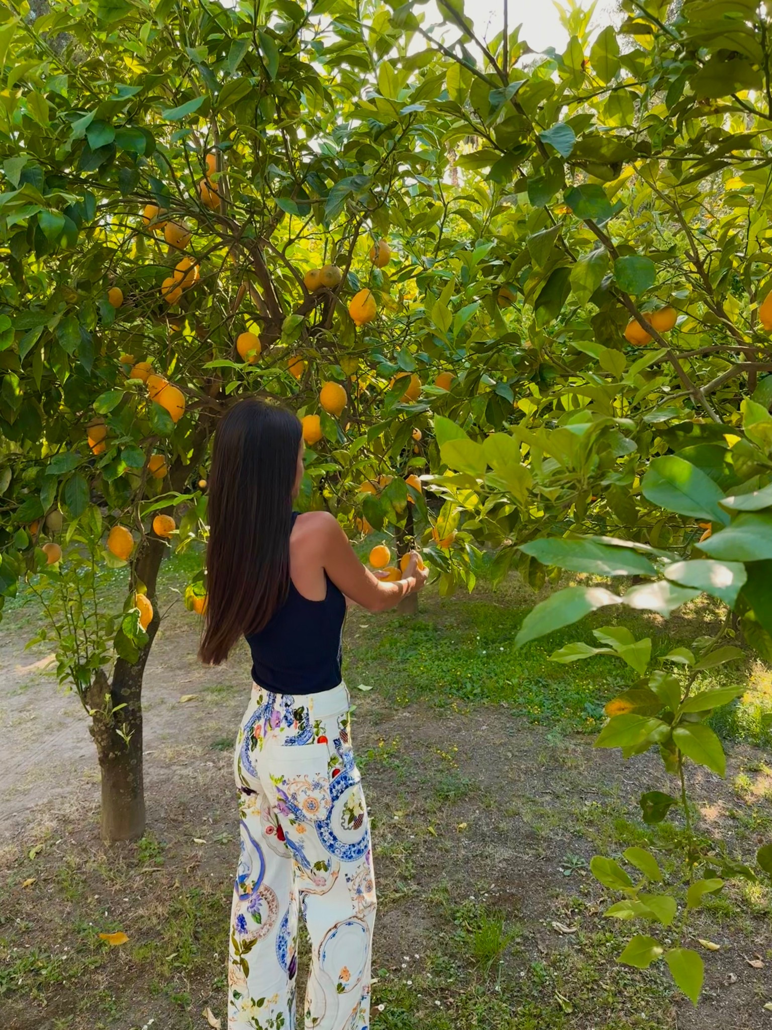 Summer outfit | printed pants | Anthropologie | white jeans | wide leg | casual outfit | vacation | travel | work wear | resort wear | business casual | tank 

#LTKWorkwear #LTKTravel #LTKSeasonal