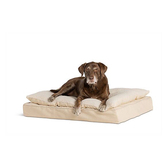 Top Paw® Tan Pillow Top Dog Bed | PetSmart