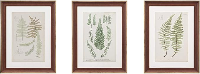 MARTHA STEWART Lady Fern Collection Wall Art Living Room Decor - Framed Linen Canvas | Amazon (US)