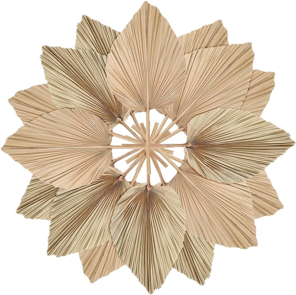 Natural Dried Palm Leaves Boho Palm Leaves Decor Heart Round Shape Palm Fans Tropical Palm Leaves... | Amazon (US)