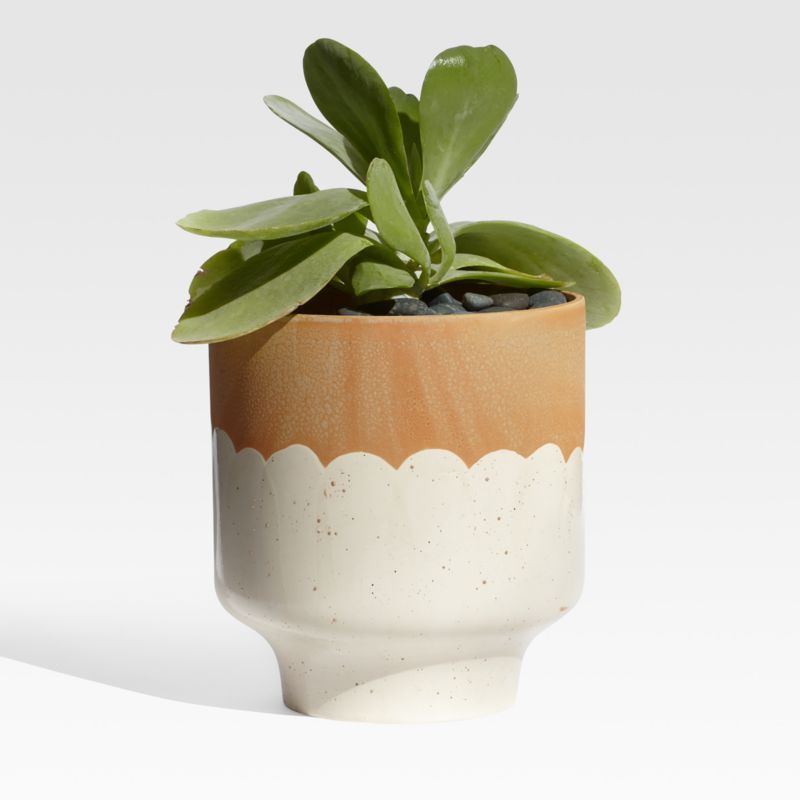 Simani Footed Two-Toned Planter + Reviews | Crate and Barrel | Crate & Barrel