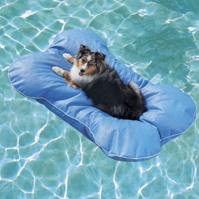 Dog Bone Pool Float | Frontgate