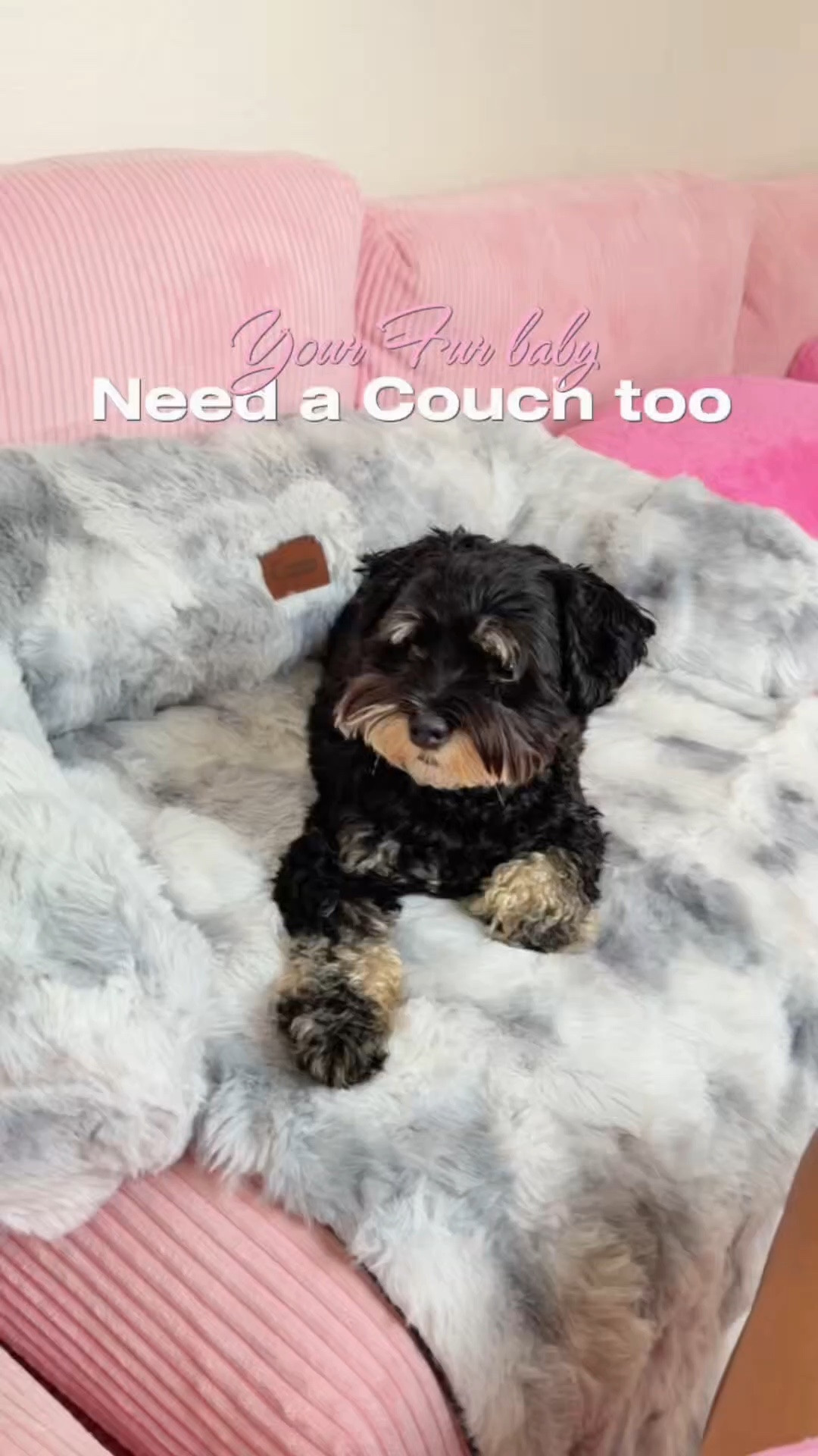 The Comfrt Dream Cloud Pet Sofa Bed is basically what happens when your dog gets a nicer couch than you. 😂🐾☁️ It’s covered in ultra-soft faux fur, has supportive bolsters for the perfect little headrest, plus a removable plush cushion for serious lounging. And because pet parents already know what happens to anything fluffy, the cover is machine washable. 

Nala is about to be in her “please do not disturb me” era. 😂💕 This is giving tiny luxury sofa, and I’m here for it.

#Comfrt #DreamCloudPetBed #DogBed #PetEssentials #DogMom