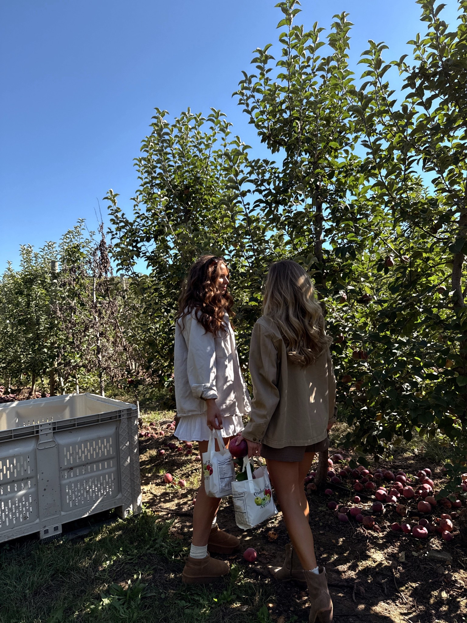 Fall apple picking outfits wear a barn jacket with plaid shorts and oversized sweater with ruffle skirt 