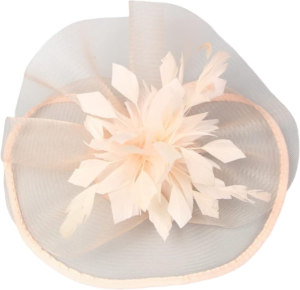 Handmade Fascinator Hat for Women,1920s Tea Party Kentucky Fascinator Hat Pillbox Hat Feather Fas... | Amazon (US)